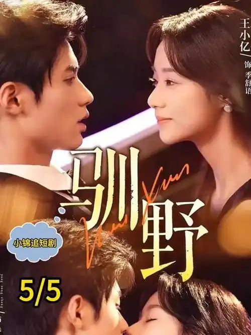 都市剧我们的岛屿全集在线观看